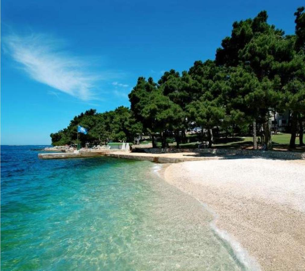 New!!! New Riva Luxury One - With Sunny Terrace & Big Garden Apartment Porec Exterior photo